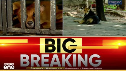 'എന്റെ കുഞ്ഞ് മരിച്ചിട്ട് ഏഴ് മാസമായി, നേരത്തേ ഈ വിധി വന്നിരുന്നെങ്കിൽ...'