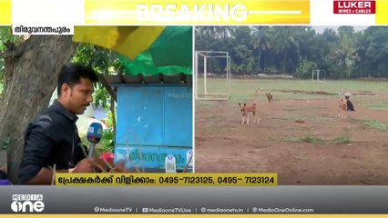 തെരുവുനായ ശല്യം തീരുമോ? ജനങ്ങൾ പ്രതികരിക്കുന്നു