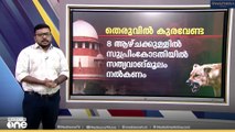 തെരുവിൽ കുരവേണ്ട; സുപ്രിംകോടതി നിർദേശങ്ങൾ വിശദമായി