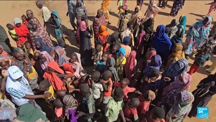 Soudan : les paramilitaires annoncent leur accord à une proposition de trêve