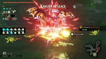 Qia & Ardi - Hyrule Warriors : Les Chroniques du Sceau