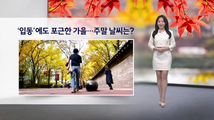 [이슈 날씨] '입동'에도 포근한 가을...주말 날씨는? / YTN