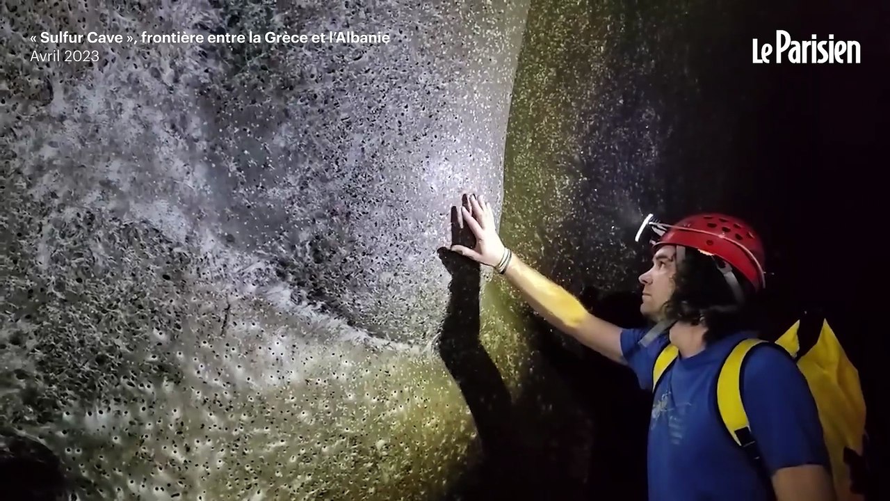 Des scientifiques découvrent ce qui serait la plus grande toile d’araignée au monde