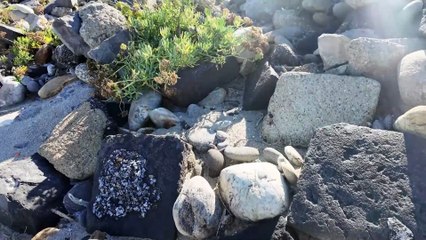 Torre Faro e basolato scompare tra la sabbia