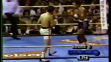 Gaby Canizales vs Bernardo Pinango - Showtime 6-4-86