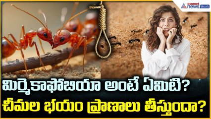 Myrmecophobia Explained: మిర్మెకాఫోబియా అంటే ఏమిటి? చీమల భయం ప్రాణాలు తీస్తుందా? | Asianet Telugu