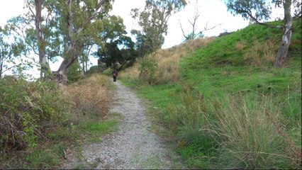 Forte Schiaffino a Santa Lucia sopra Contesse: un bene immerso nel degrado