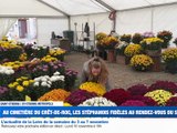 L'actualité de la semaine du 3 au 7 novembre - JT Week-end - TL7, Télévision loire 7