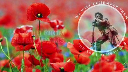 A personal message from Peter Fox MS on Remembrance Sunday