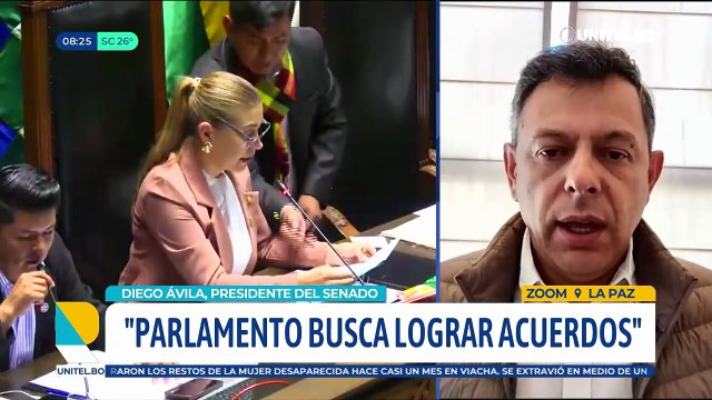 Presidente del Senado anuncia leyes contra la crisis y reformas a las normas de hidrocarburos, autonomías y de inversión