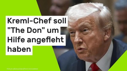 Donald Trump über Wladimir Putin: Verzweifelter Kreml-Chef soll "The Don" um Hilfe angefleht haben