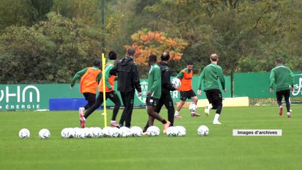 Les Verts préparent leur cheval de Troie