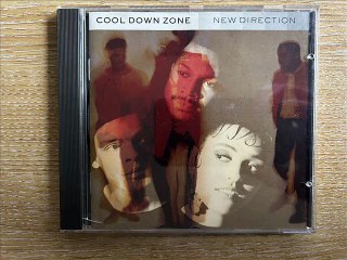 Cool Down Zone - Never Counted On Loving You