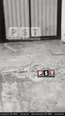 VECINOS DEL PLAN 3000 PIDEN AYUDA TRAS ATAQUE DE PERROS PITBULL QUE MATÓ A UN PERRO