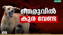 തെരുവുനായ പ്രശ്നത്തിൽ സുപ്രധാന ഉത്തരവുമായി സുപ്രിംകോടതി