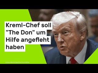 Donald Trump über Wladimir Putin: Verzweifelter Kreml-Chef soll "The Don" um Hilfe angefleht haben