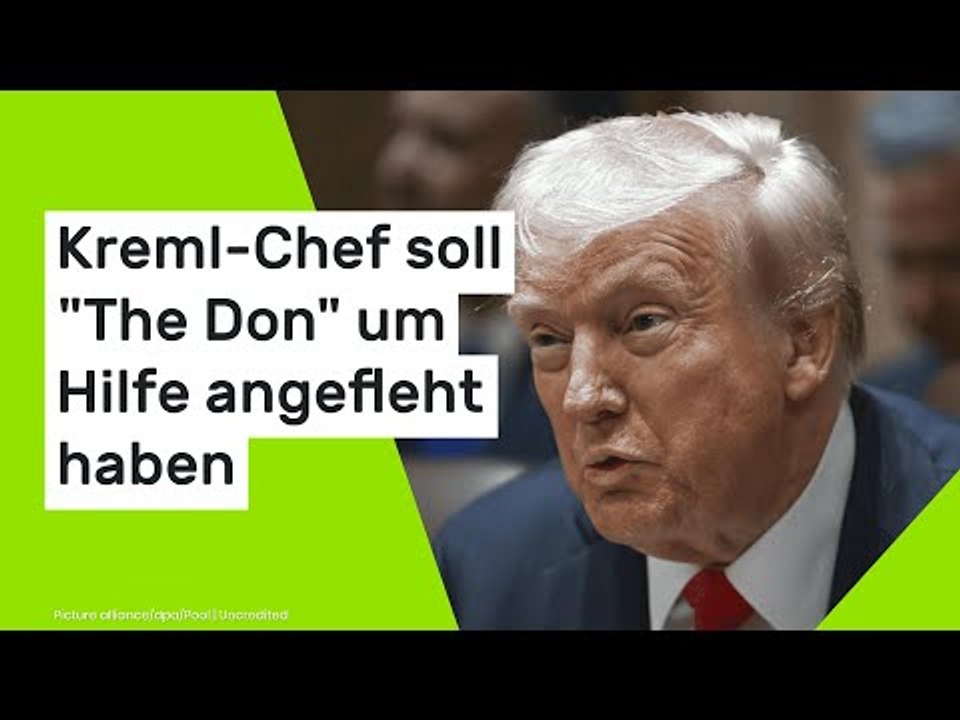 Donald Trump über Wladimir Putin: Verzweifelter Kreml-Chef soll 'The Don' um Hilfe angefleht haben