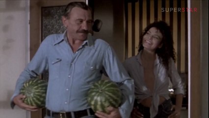 Žikina dinastija 7 - Žikina dinastija