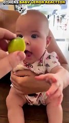 Other baby Lemon Reaction🍋 ☺️😍 Vs last one _trollface