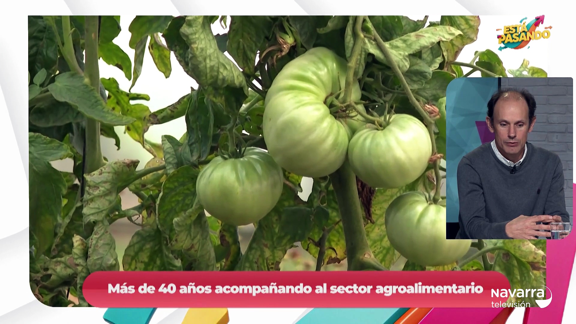 Conocemos los proyectos de I+D de INTIA