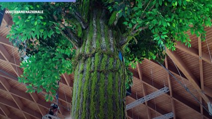 Ecomondo - L'intervista a Luca Moretti (Saint-Gobain Pam Italia)