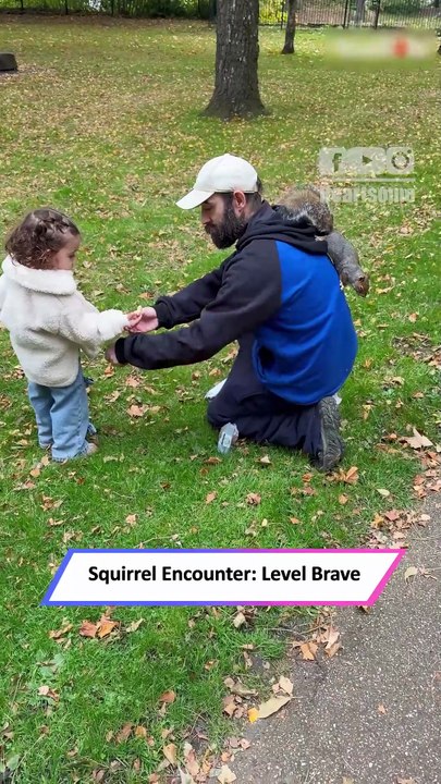 Brave Little Girl Fearlessly Feeds a Squirrel in the Cutest Moment Ever|| Heartsome 💖