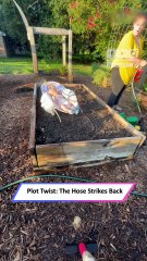 Baby Gets Sprayed by Garden Hose—Hilarious Morning Surprise!|| Heartsome 💖