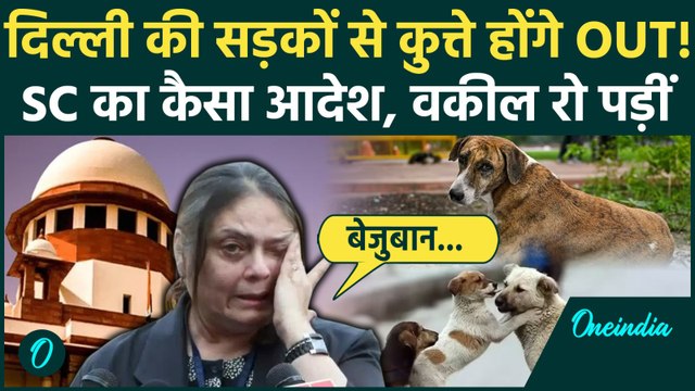 Supreme Court Stray Dogs Order: आवारा कुत्तों पर Supreme Court का कैसा कठोर आदेश, नसबंदी कर हटेंगे
