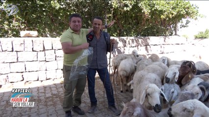 Harun’la Şen Yollar - Kayseri - Kırşehir | 8 Kasım 2025