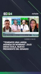 “Tenemos una larga agenda de normas”, dijo diego Ávila, nuevo presidente del Senado