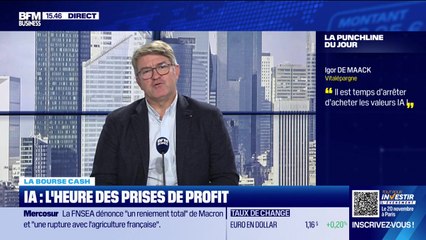 La bourse cash : "il est temps d’arrêter d’acheter les valeurs IA" - 07/11