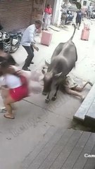 Cow/Bull Attack on Man in Street Caught on Surveillance Camera