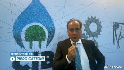 Gattoni (CIB):  per decarbonizzazione alleanza agricoltura-industria