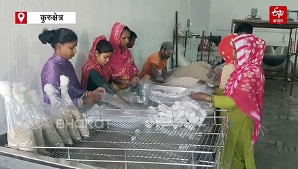 मालामाल करता "मशरूम", आठवीं पास यादविंदर ने 50 हजार रुपए से की शुरुआत, अब सालाना हो रही 7 करोड़ रूपए की कमाई