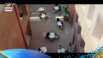 Meri Zindagi Hai Tu - Starting From 7th November - Friday To Saturday At 08 PM - ARY Digital {4}