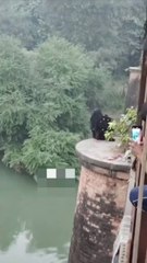 Dramatic Rescue: Police Officer & Bystanders Save woman from Bridge/Dam