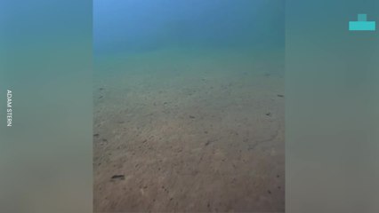Free Diving Into a Volcanic Lake