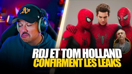 UNE COLLAB ENTRE RDJ ET TOM HOLLAND CONFIRME LE RETOUR DES 3 SPIDER-MAN ?
