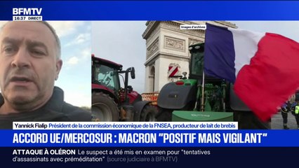 Accord UE-Mercosur: "Emmanuel Macron a lâché l'agriculture française", assure Yannick Fialip (FNSEA)