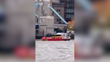 Tower Bridge closed as police and fire brigade respond to incident