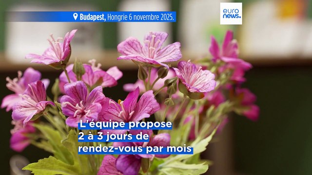 La clinique de gynécologie pour femmes sans-abri de Budapest, entre dans sa troisième année d'existence