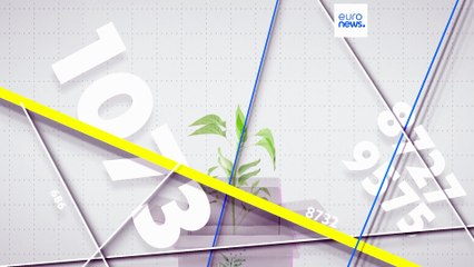 Oznakowania ekologiczne: Które kraje UE przodują w produkcji zrównoważonych towarów?