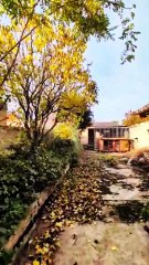 Maison de ville à Guise – Une élégance d’époque à faire revivre