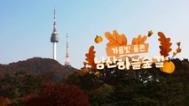 [영상] 가을빛 물든 남산 하늘숲길 따라 / YTN