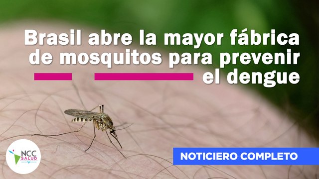 Brasil abre la mayor fábrica de mosquitos para prevenir el dengue | 275 | 10 - 16 noviembre 2025