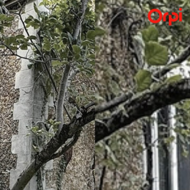 https://www.orpi.com/annonce-vente-maison-t6-clamart-92140-80293aed-260d-43fc-b989-c053856b35d2/?agency=metayer Contactez Killian Oukaki😉 01 46 44 70 00 #orpi #Clamart #appartement #maison #immobilier  #piscine #garage #jardin #terrasse #chambres #gare