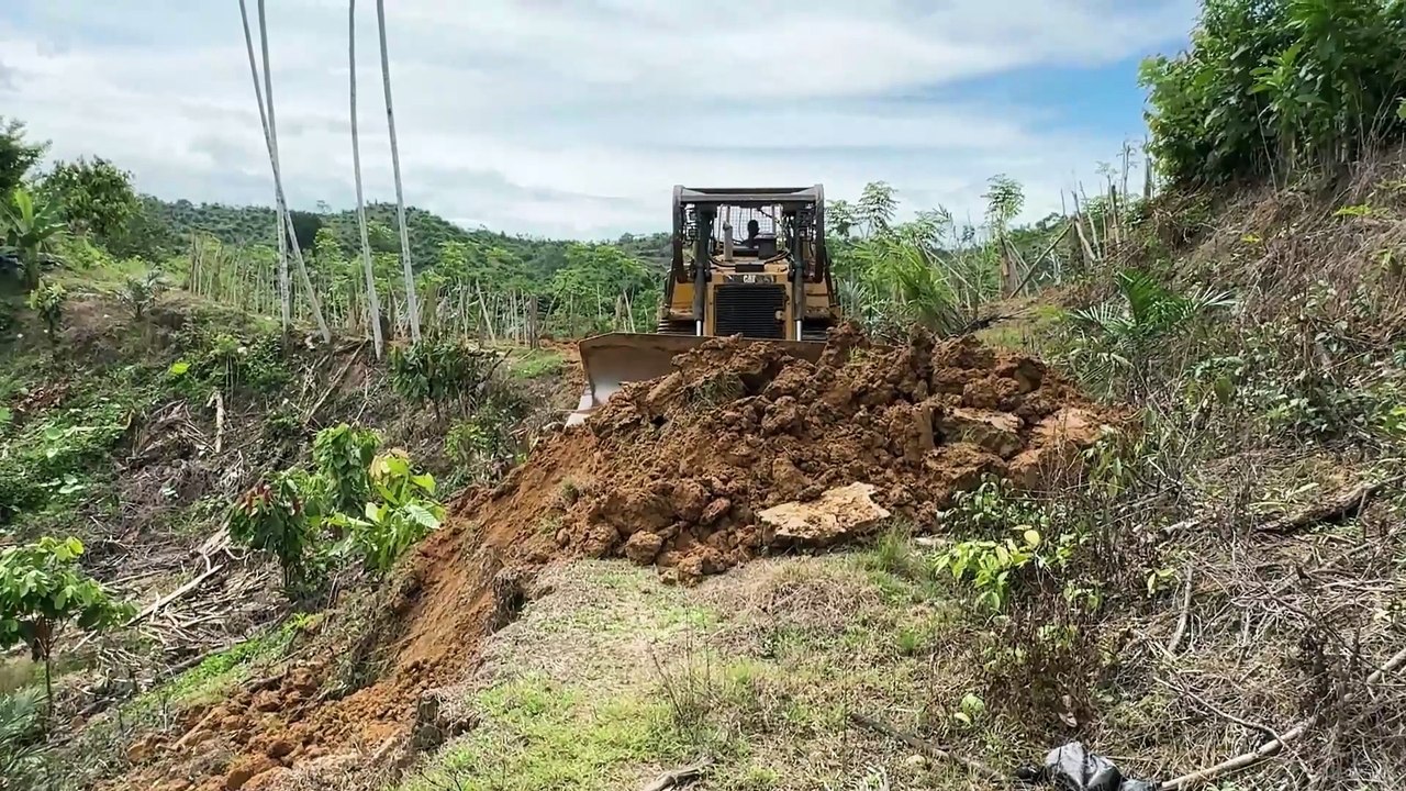 Bulldozer D6R XL Reliable Heavy Equipment for Old Plantation Roads