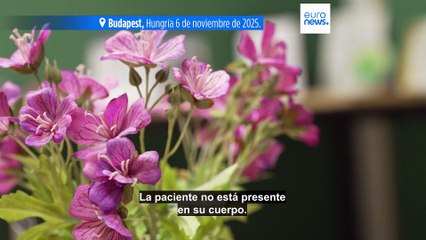 Así funciona la clínica ginecológica que atiende a mujeres sin hogar en Budapest desde hace 3 años