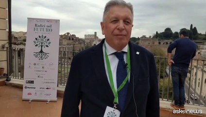 Conaf, Crema: IA nuova frontiera dell'estimo