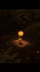 👁️ "Wherever I Look... I See Only You!" 🌹#KasimAliLatif #PoetryShorts #UrduPoetry #HeartfeltLines #SpiritualLove #EmotionalVibes #SoulfulPoetry #DeepFeelings #Shorts #poetry #shyari #explore #trending #reel #love